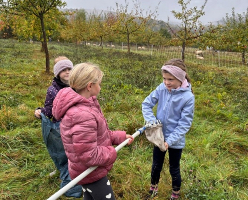 Bild3